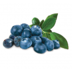 fresh-blueberries