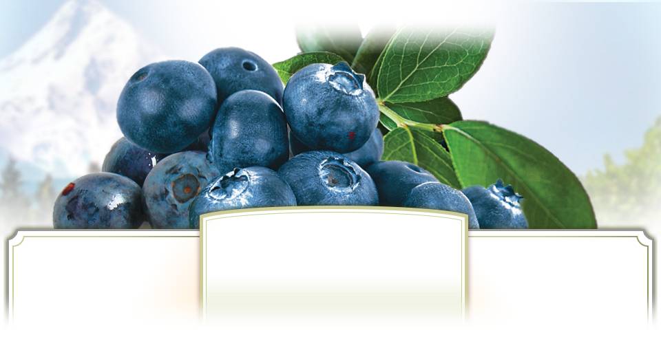 home-spot-bluberries